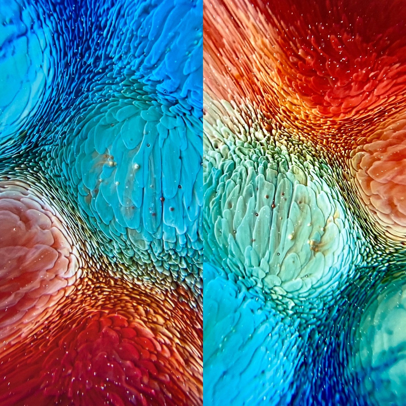 Rainbow Resin Petri Giclee Print Set 2