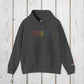 Bespattered Facade Proud Rainbow LGBTQ+ Pride Embroidered Unisex Heavy Blend™ Hooded Sweatshirt