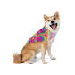 Bespattered Facade Neon Flower Pet Bandana