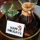 LGBT Holiday Greeting Cards, Set of 24