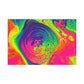 Bespattered Facade Fluid Art Abstract Painting Stretched Matte Canvas Art Prints | Multiple Sizes
