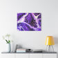 Bespattered Facade Purple Haze Stretched Matte Canvas Art Prints | Multiple Sizes