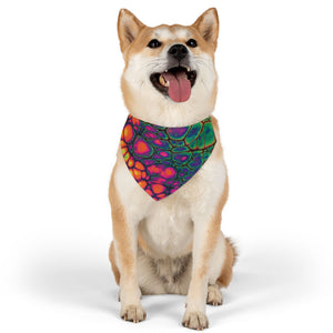 Bespattered Facade Neon Butterfly Pet Bandana Collar