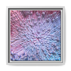 Bespattered Facade Resin Petri Macro Photograph Framed Canvas Art Print | 3 Frame Colors | Multiple Sizes