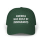 The Anti-MAGA Embroidered Hat Collection: America Was Built By Immigrants | 10 Colors