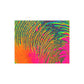 Bespattered Facade Neon Puddle Postcards (no envelopes) | Sets of 10, 30, or 50