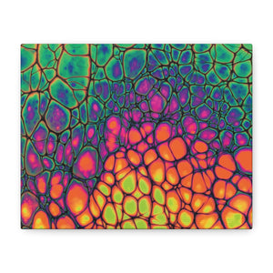 Bespattered Facade Neon Butterfly Stretched Matte Canvas Art Prints | Multiple Sizes