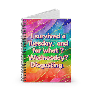 Bespattered Facade Rainbow "Wednesday" Spiral Notebook - Lined Pages