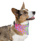 Bespattered Facade Rainbow Leopard Pet Bandana Collar