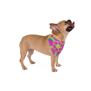 Bespattered Facade Neon Flower Pet Bandana