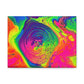 Bespattered Facade Fluid Art Abstract Painting Stretched Matte Canvas Art Prints | Multiple Sizes