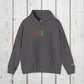 Bespattered Facade Pride Rainbow LGBTQ+ Embroidered Unisex Heavy Blend™ Hooded Sweatshirt