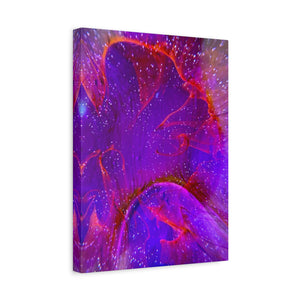 Bespattered Facade Resin Petri Macro Photograph Stretched Matte Canvas Art Prints | Multiple Sizes