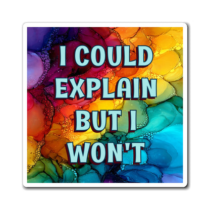 Bespattered Facade "I Could Explain But I Won't" Refrigerator Magnet