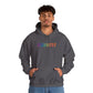 Bespattered Facade Indoorsy Unisex Heavy Blend™ Hooded Sweatshirt