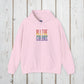 Bespattered Facade "All the Colors" Rainbow Block Embroidered Unisex Heavy Blend™ Hooded Sweatshirt