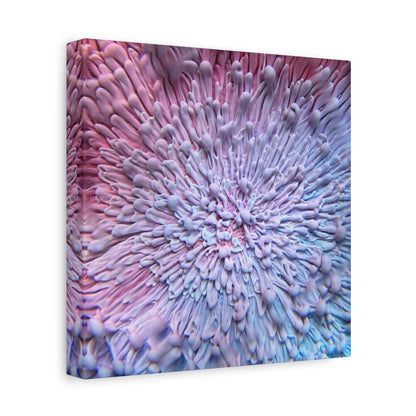 Bespattered Facade Resin Petri Macro Photograph Stretched Matte Canvas Art Prints | Multiple Sizes