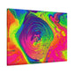 Bespattered Facade Fluid Art Abstract Painting Stretched Matte Canvas Art Prints | Multiple Sizes