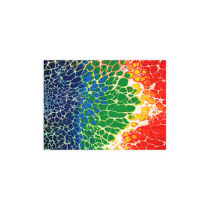 Bespattered Facade Rainbow Seaside Postcards (no envelopes) | Sets of 10, 30, or 50