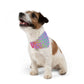 Bespattered Facade Rainbow Leopard Pet Bandana Collar