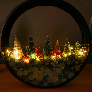 Winter Wonderland Wall Terrarium Kit