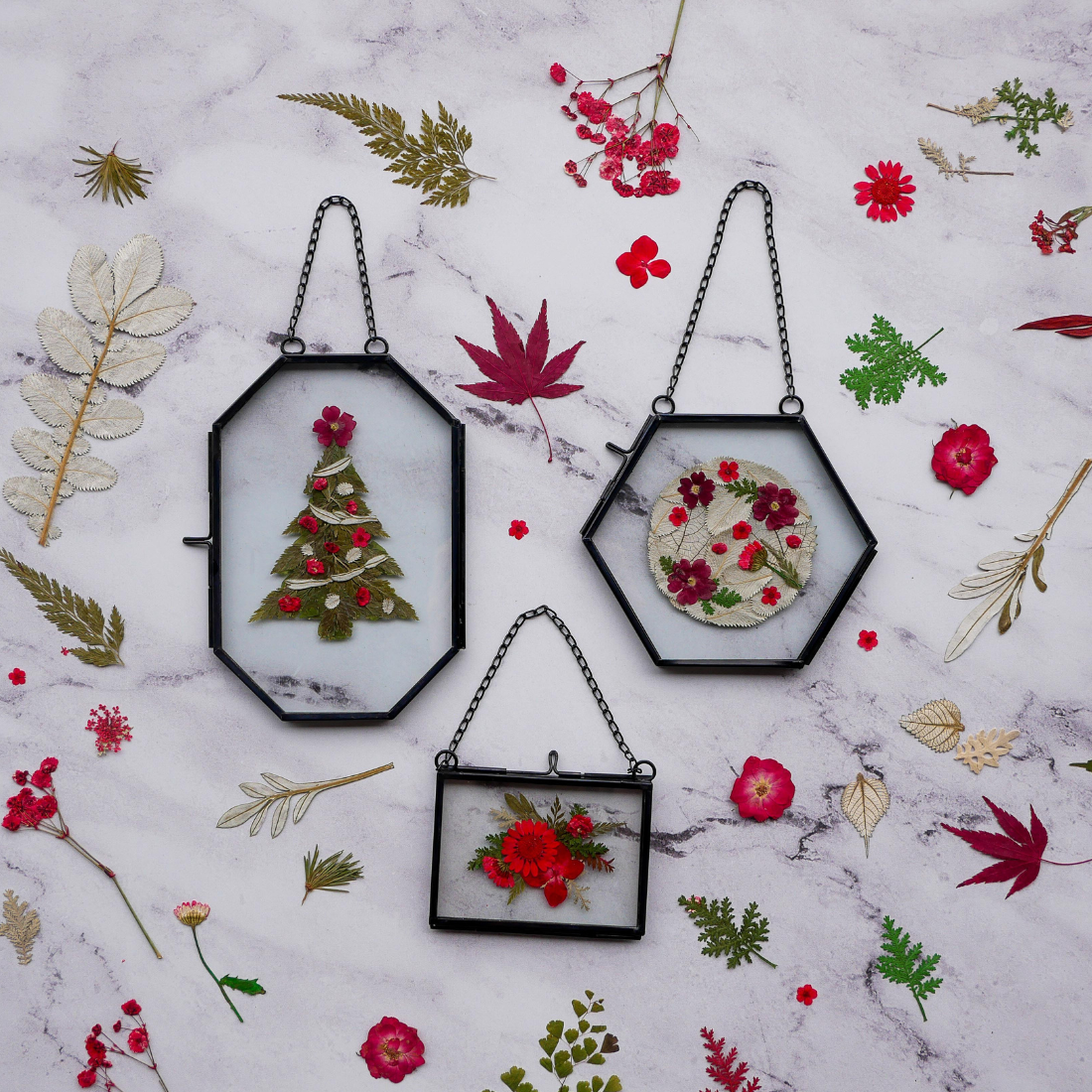 Holiday Framed Pressed Flowers Kit