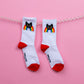 ADULT Rainbow Cat Socks