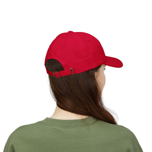The Anti-MAGA Embroidered Hat Collection: America Was Built By Immigrants | 10 Colors