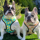 Chasing Rainbows Reversible Harness