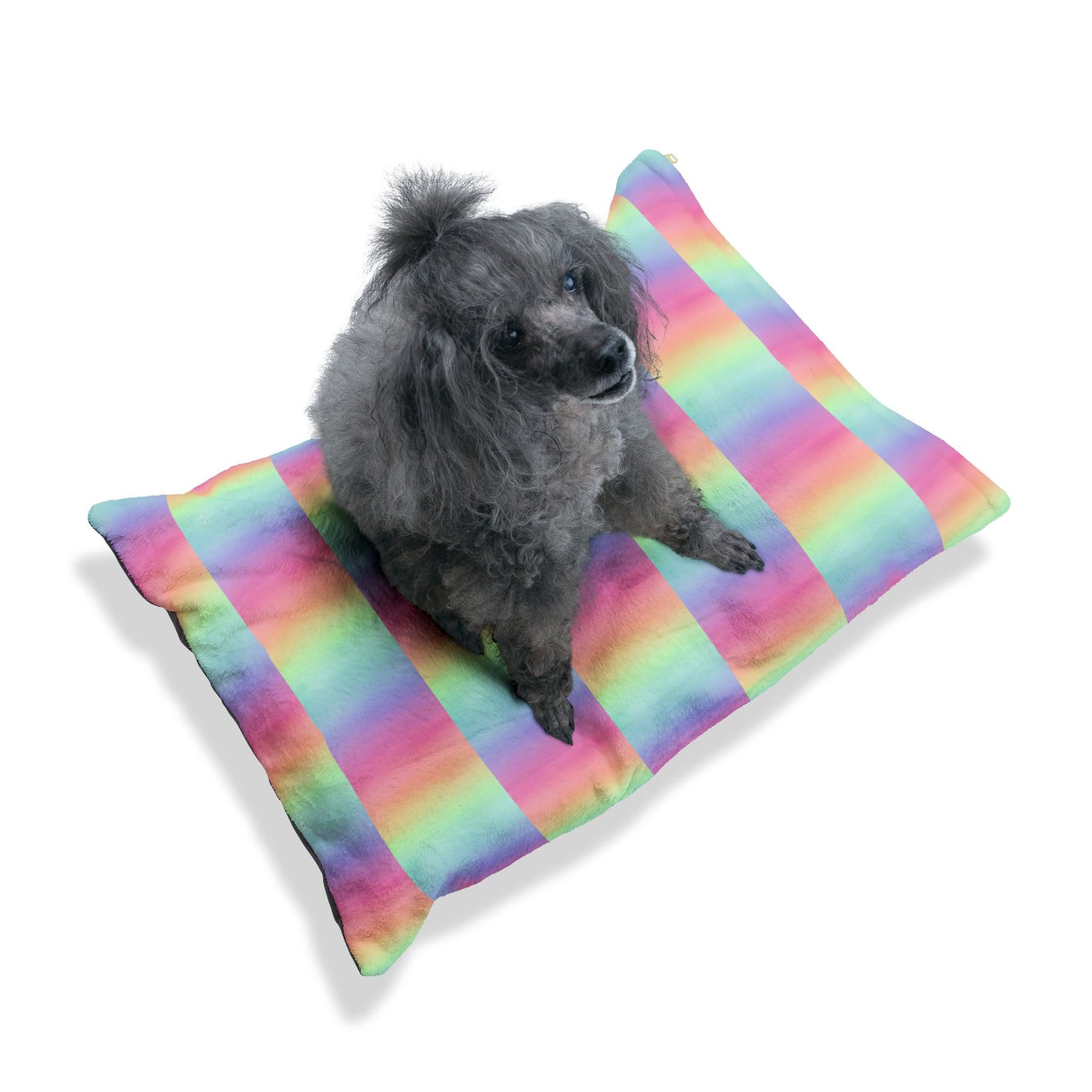 Bespattered Facade Prismatic Indoor Pet Bed