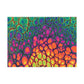 Bespattered Facade Neon Butterfly Postcards (no envelopes) | Sets of 10, 30, or 50