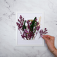 Dried Bouquet Kit