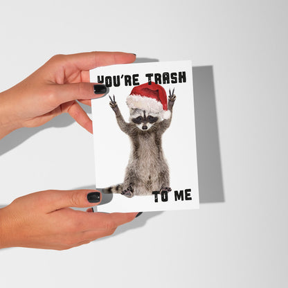 Funny Raccoon Christmas Cards, Set of 24