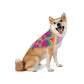 Bespattered Facade Neon Flower Pet Bandana