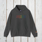 Bespattered Facade Pride Rainbow LGBTQ+ Embroidered Unisex Heavy Blend™ Hooded Sweatshirt