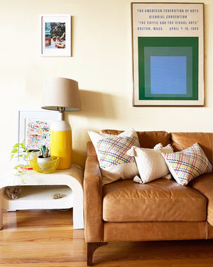 Cotzal Rainbow Brocade Pillows