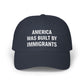 The Anti-MAGA Embroidered Hat Collection: America Was Built By Immigrants | 10 Colors