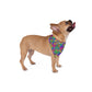 Bespattered Facade Candy Coated Neon Leopard Bandana