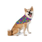 Bespattered Facade Candy Coated Neon Leopard Bandana