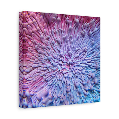 Bespattered Facade Resin Petri Macro Photograph Stretched Matte Canvas Art Prints | Multiple Sizes