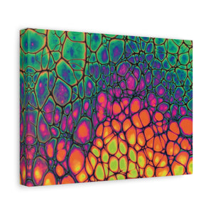 Bespattered Facade Neon Butterfly Stretched Matte Canvas Art Prints | Multiple Sizes