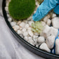 Resin Zen Garden Kit