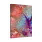 Bespattered Facade Resin Petri Macro Photograph Stretched Matte Canvas Art Prints | Multiple Sizes