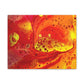 Bespattered Facade Flamin' Hot Stretched Matte Canvas Art Prints | Multiple Sizes