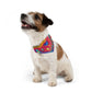 Bespattered Facade Rainbow Galaxy Pet Bandana Collar