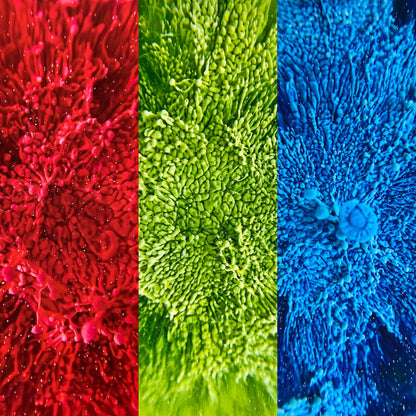 RGB Resin Petri Giclee Print Set