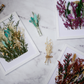 Dried Bouquet Kit