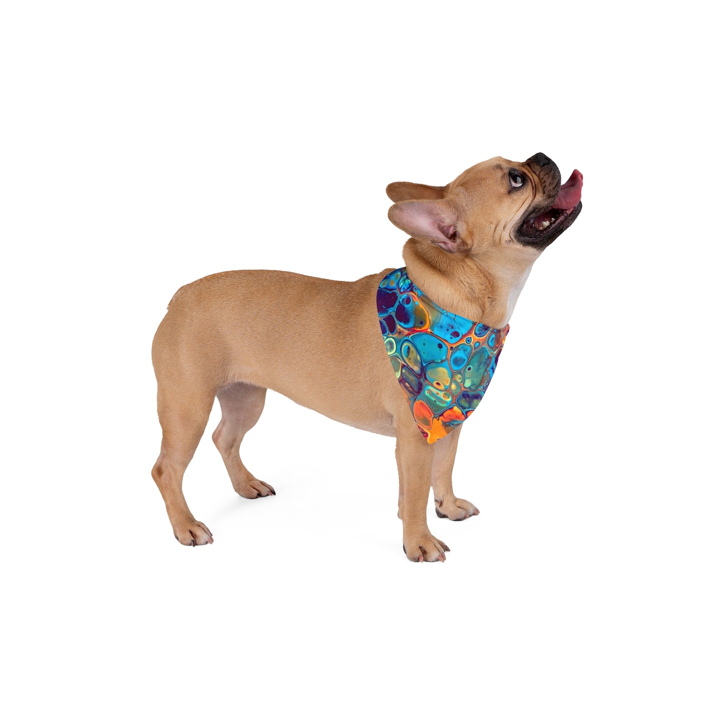 Bespattered Facade Intergalactic Rainbow Pet Bandana