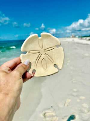 Ceramic Sand Dollar Ring Dish