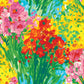 Pet Leash - Bouquet Burst